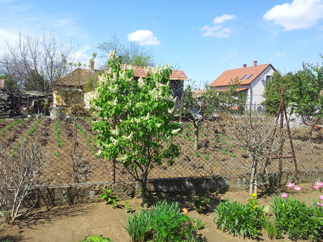 IMG_20120422_113457