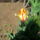 Img_20120422_113543_1440769_6333_t