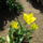 Img_20120422_113555_1440771_4488_t