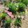 Img_20120422_113602_1440762_5678_t