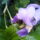 Img_20120509_192058_1440788_1904_t