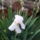 Img_20120509_192118_1440780_9101_t