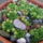 Img_20120509_192225_1440789_4690_t