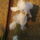 Img_20120509_192254_1440782_1778_t