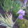 Img_20120509_192345_1440791_1889_t