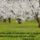 Kellemesvidam_hetveget_1404751_7373_t