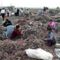 Kínai e-hulladék telep