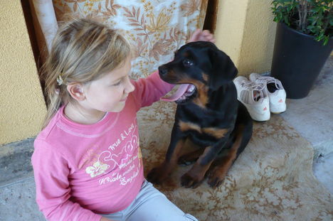 Petra+kutyu