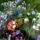 Pillangos_viragok_1440620_2004_t