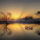 Szep_estet-050_1404481_7514_t