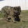 Tanya__1404887_6282_t