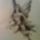 Tunder3_1044464_4637_t