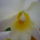 Viragzas___6-007_1404978_5689_t