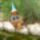 A_kis_muvelodo_1451355_8783_t