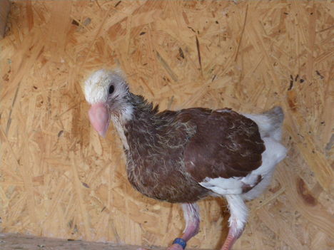 IMGP0989