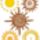 Csigavonalak_es_eletfak_1_1454228_7534_t
