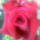 20120528_2_1455700_2777_t