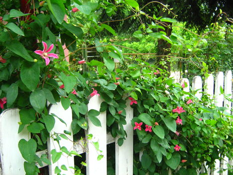 2012.05.30