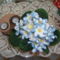 Kék virágocska