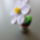 Quilling_mini_virag_1458316_1196_t