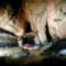 Cseppkőbarlang