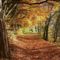 Ersdei ösvény ősszel