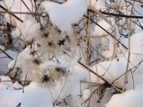 Téli Sokoró fotópályázat képei 1