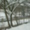 Téli Sokoró fotópályázat képei 11