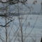 Téli Sokoró fotópályázat képei 13
