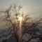 Téli Sokoró fotópályázat képei 14