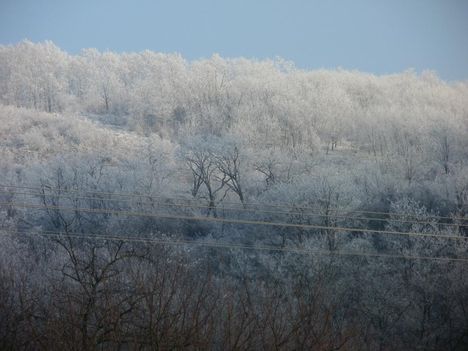 Téli Sokoró fotópályázat képei 17