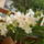 Fenykep1589_1461914_4277_t