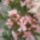 Fenykep1593_1461916_5746_t