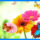 Gerberak_pillangok_1461545_6563_t