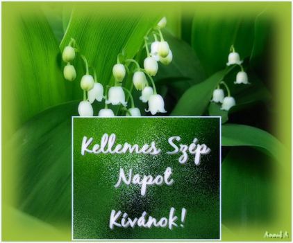 kellemes-szep-napot