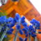 Kék virágok a kertünkben
