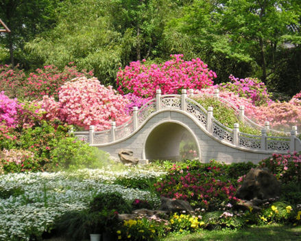 Nyári kert híd-1480