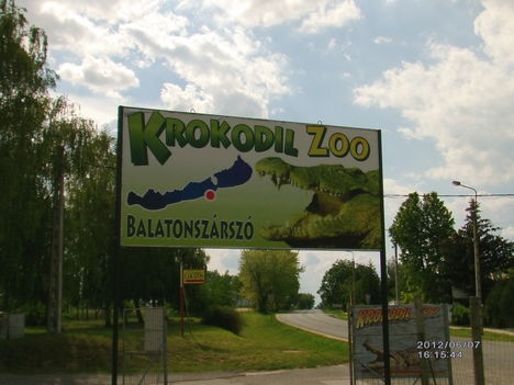 Krokodil Zoo Sok mindent nem sikerűlt fotózni mert üvegen keresztűl vissza tükröződött