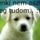 Kutyus__1464343_2340_t