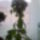 Snc00228_1464751_3661_t