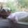 Snc00384_1464753_4853_t