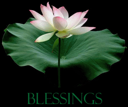 AWESOME BLESSING FLOWER