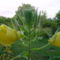 DSC03559