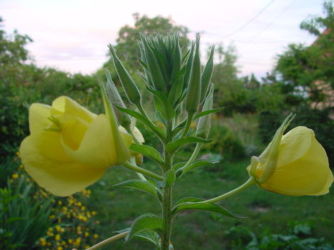 DSC03560