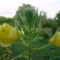 DSC03560