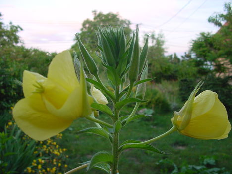 DSC03561