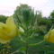 DSC03561