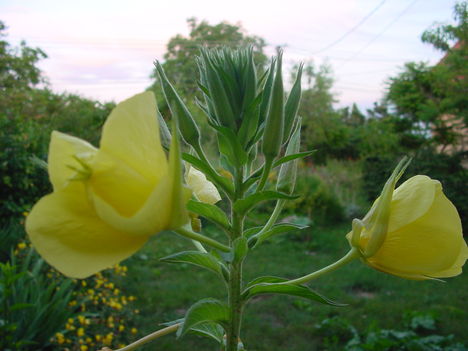DSC03562