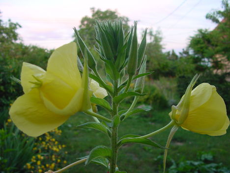 DSC03563