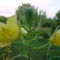DSC03563